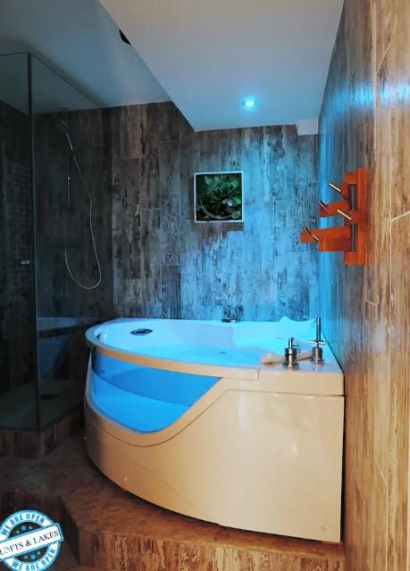 Le Cocon - Lofts & Lakes Certified 4-Stars アヌシー エクステリア 写真