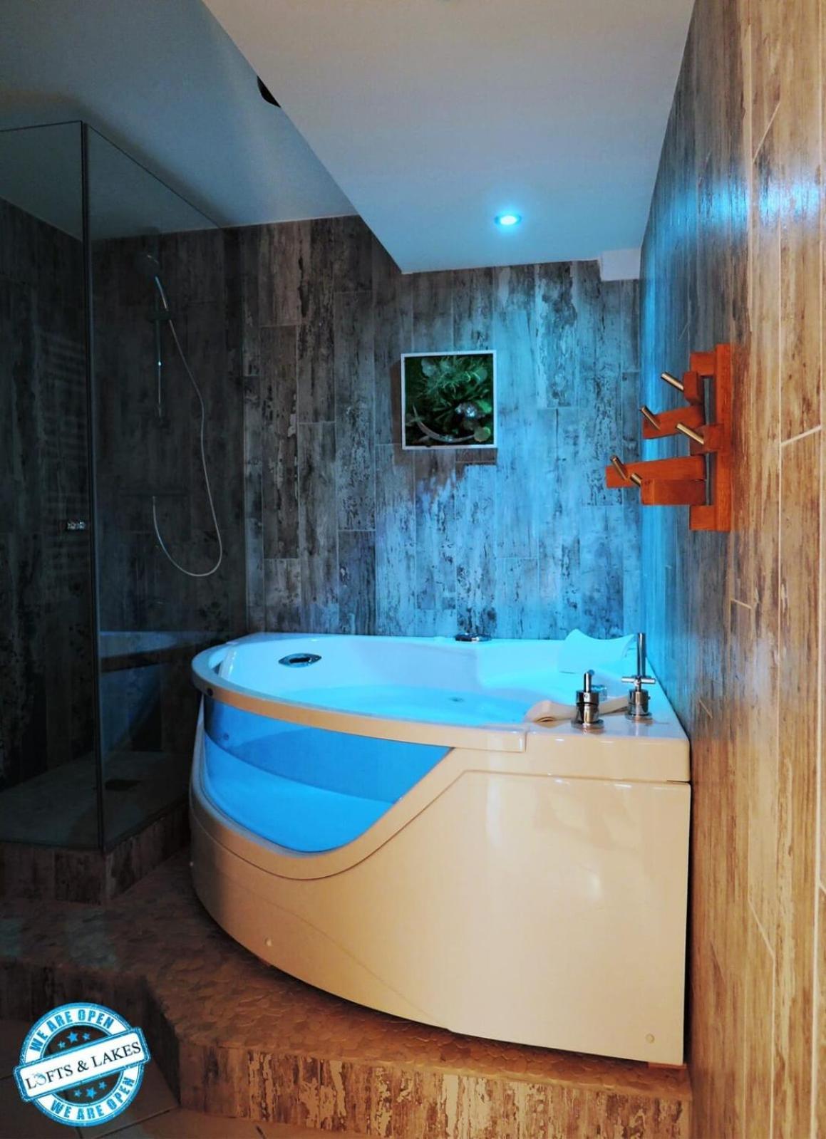 Le Cocon - Lofts & Lakes Certified 4-Stars アヌシー エクステリア 写真